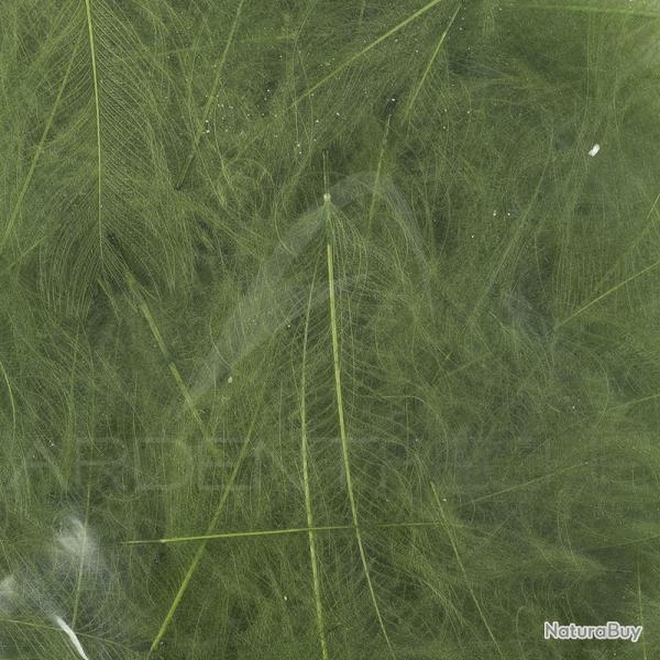 Cul de canard 54 DeanStreet super select Green Olive