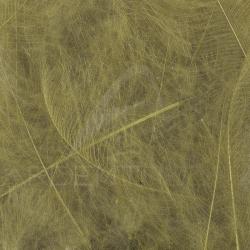 Cul de canard 54 DeanStreet super select Medium Olive