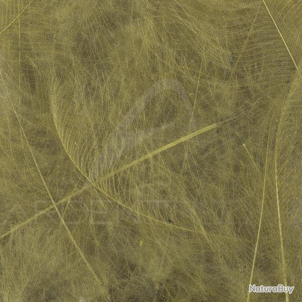 Cul de canard 54 DeanStreet super select Medium Olive