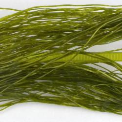 Life-Flex fin Olive