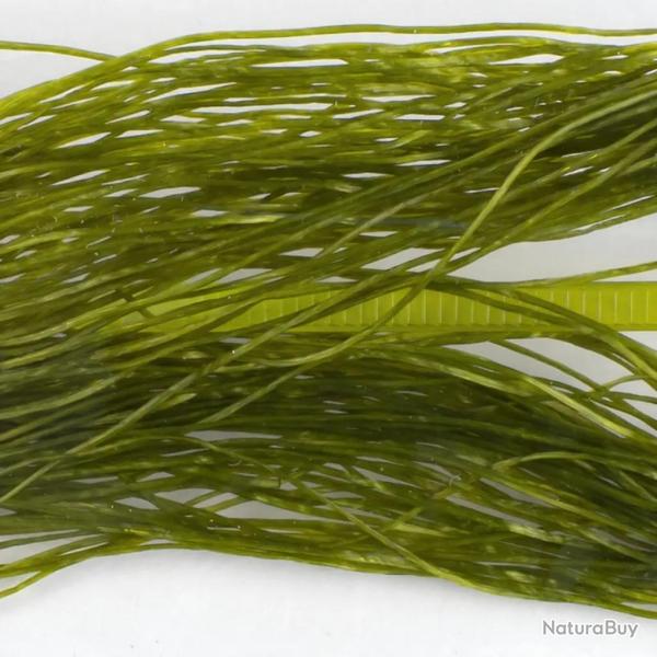 Life-Flex fin Olive