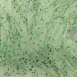 SiliLegs Semperfli White green