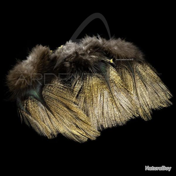 Plumes Pardo SELECT grade 1 sarrioso