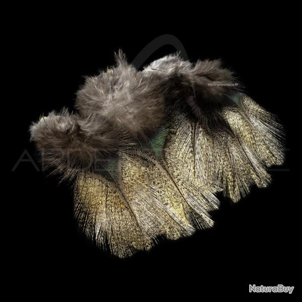 Plumes Pardo SELECT grade 1 corzuno claro