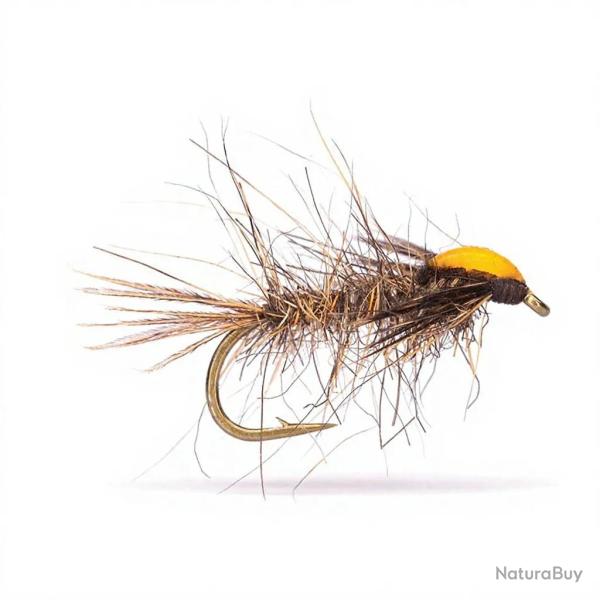 Mouche AB FLY Nymphe N HEPTA NA UV OR H16
