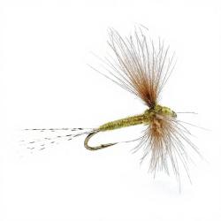 Mouche AB FLY Emergente SUB D OLC H14
