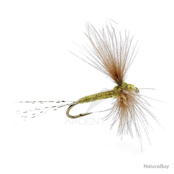 Mouche AB FLY Emergente SUB D OLC H14