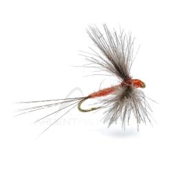 Mouche AB FLY Emergente SUB D OC H14