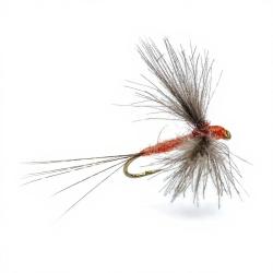 Mouche AB FLY Emergente SUB D OC H16