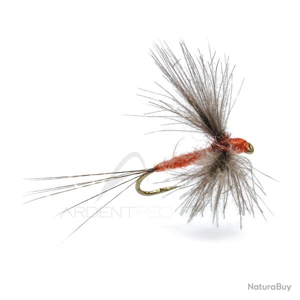 Mouche AB FLY Emergente SUB D OC H16