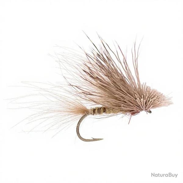 Mouche AB FLY Mouche de mai EME R MAI CH H10