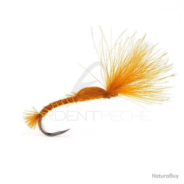 Mouche STS chironome marron H16