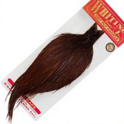 Cous de coq WHITING bronze coachman brown