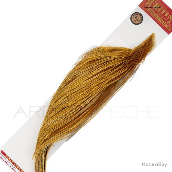 1/2 cous de coq WHITING bronze Barred Dark Ginger