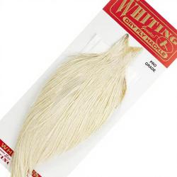 Cous de coq WHITING Pro grade Blanc