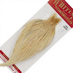 Cous de coq WHITING Pro grade Barred Medium Ginger