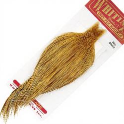 Cous de coq WHITING Pro grade Barred Dark Ginger