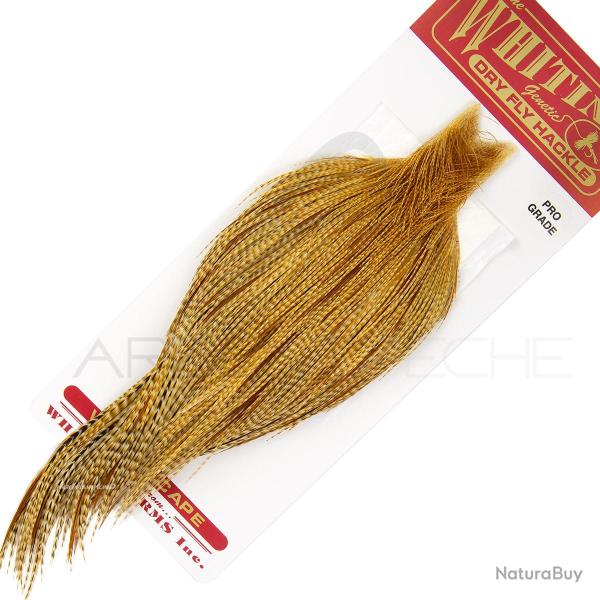 Cous de coq WHITING Pro grade Barred Dark Ginger