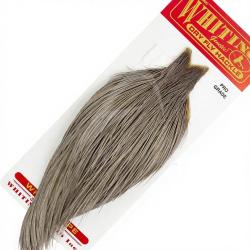 Cous de coq WHITING Pro grade teint&eacute; gris