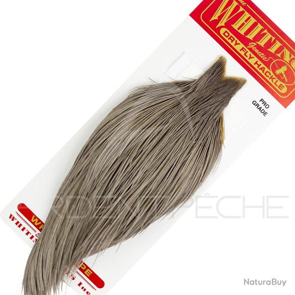 Cous de coq WHITING Pro grade teint� gris