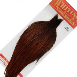 Cous de coq WHITING Pro grade teint&eacute; coachman