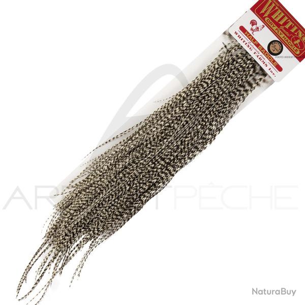 1/2 saddle WHITING bronze grizzly