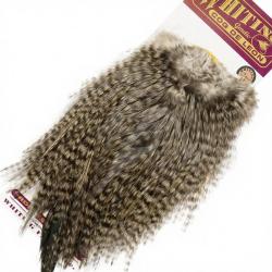 Croupes pardo Whiting Bronze Grizzly Variant