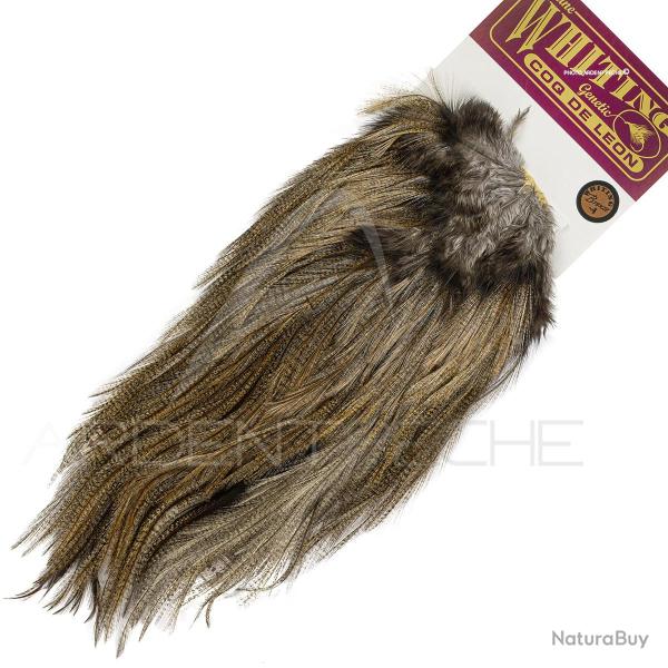 Croupes pardo Whiting Bronze pardo clair