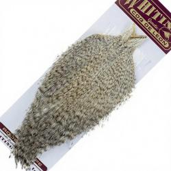 Cous pardo Whiting Grizzly pardo