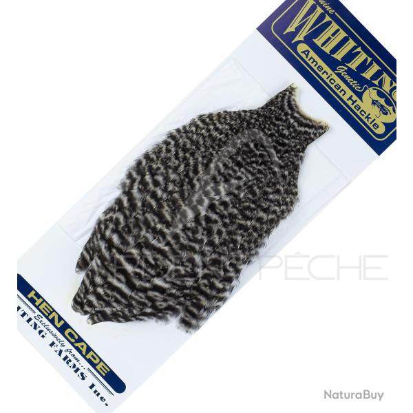 Cou de poule American Hackle grizzly