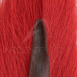 Bucktail queue de daim Large rouge