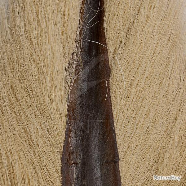 Bucktail queue de daim Large Tan