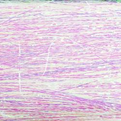 Semperflash baitfish wing Purple