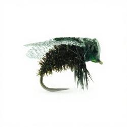 Mouche DEVAUX Terrestre MAV 01 H12