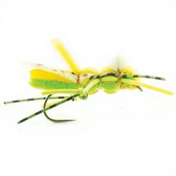 Mouche DEVAUX Terrestre Sautrelle SAUT 02 H10