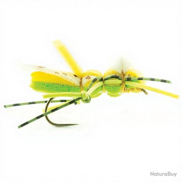 Mouche DEVAUX Terrestre Sautrelle SAUT 02 H10