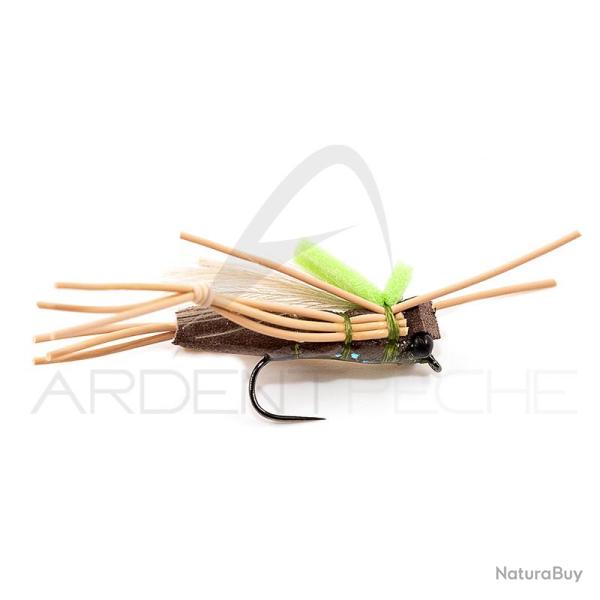 Mouche DEVAUX Terrestre Sautrelle SAUT 03 H10