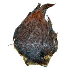 Cous de coq DEVAUX Top Grade Roux fonc&eacute;