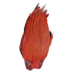 Cous de coq DEVAUX Top Grade Teint Rouge