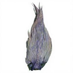 Cous de coq DEVAUX Top Grade Teint Blue dun