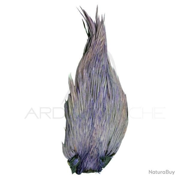 Cous de coq DEVAUX Top Grade Teint Blue dun