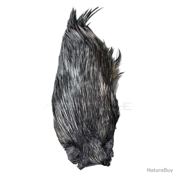 Cous de coq DEVAUX Top Grade Teint Gris anthracite