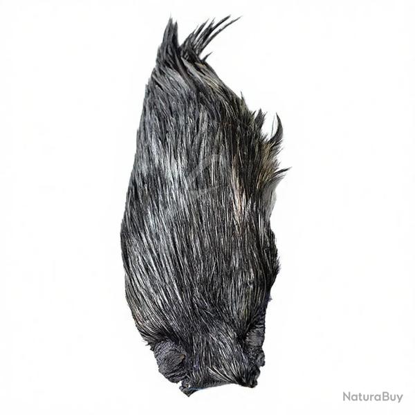 Cous de coq DEVAUX Top Grade Teint Gris anthracite