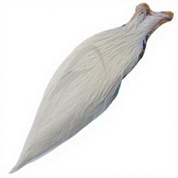 Cous de coq DEVAUX G3 Blanc