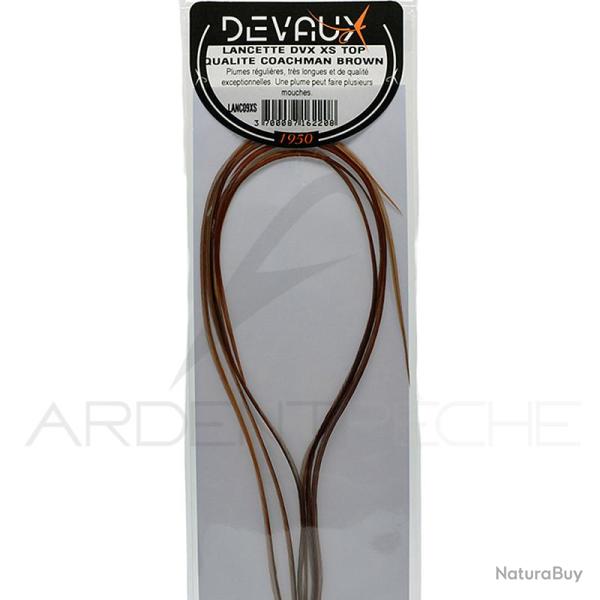 Lancettes de coq DEVAUX XS Top qualit� Coachman brown