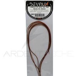 Lancettes de coq DEVAUX XS Top qualit&eacute; roux