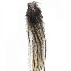 Plumes Pardo DEVAUX Lancette moyen