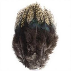 Plumes Pardo DEVAUX Pelle claire