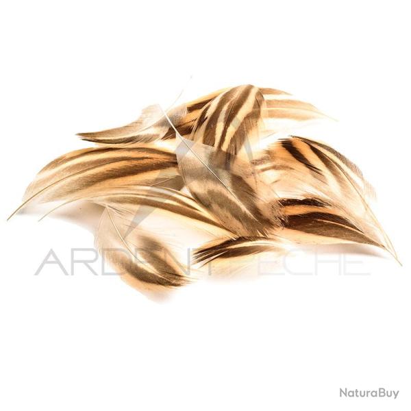 Flanc plus poitrail de cane DEVAUX