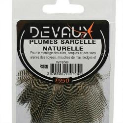Sarcelle DEVAUX naturelle